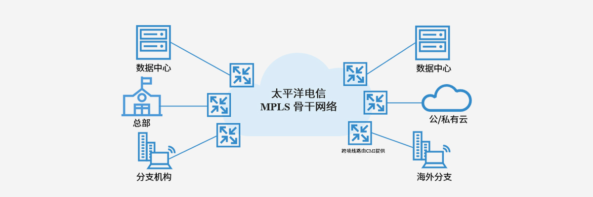 MPLS VPN