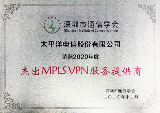02. 2020 杰出MPLS VPN 服务提供商.jpg